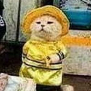 Meet your Posher, Jessie